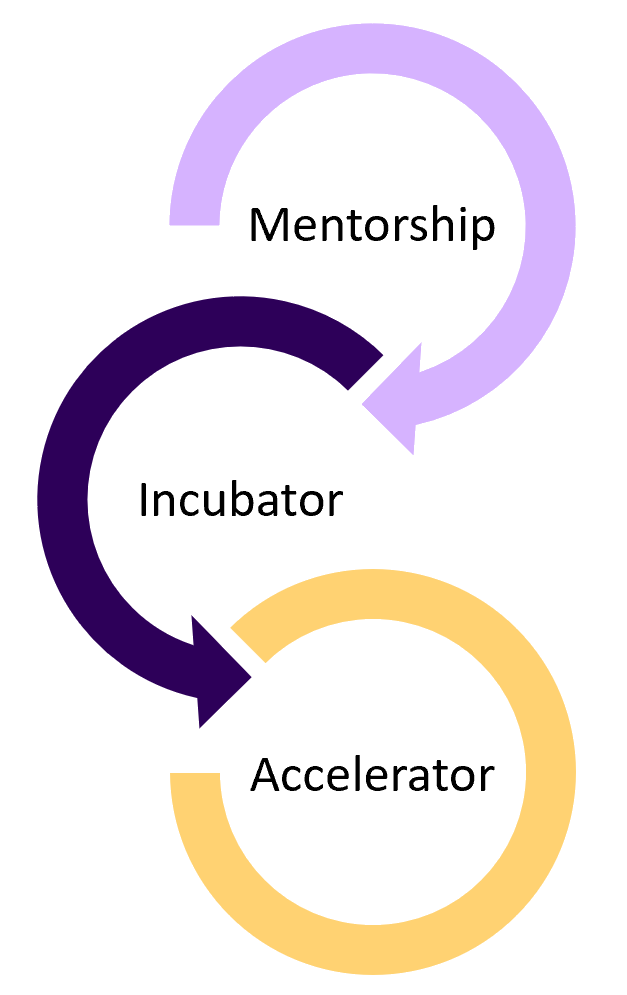mentorship to incubator to accelerator diagram